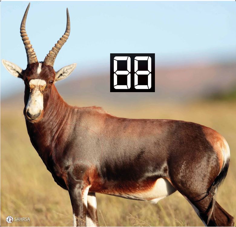 Targets Sa Hunting Rifle